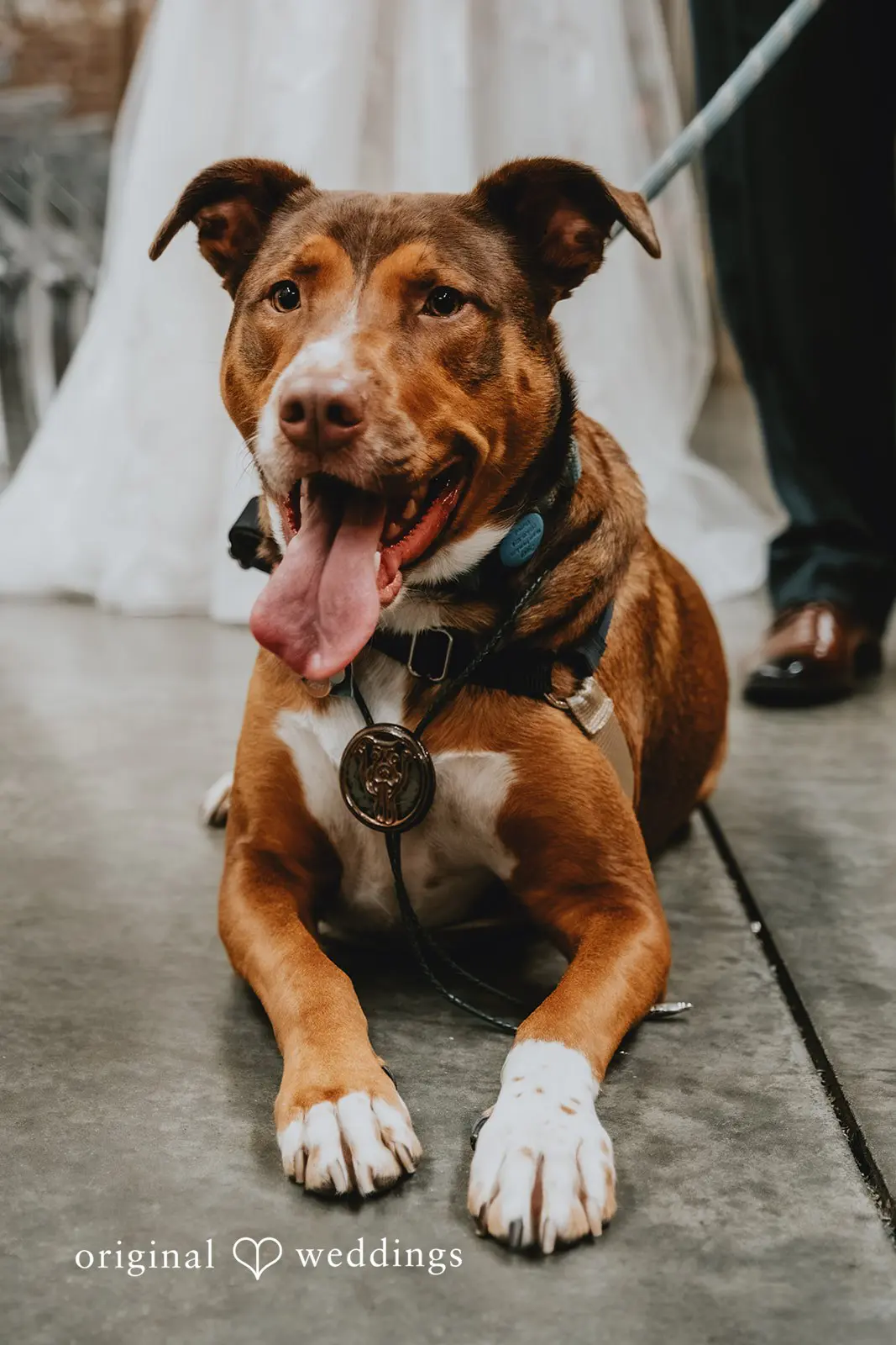 Megan + Alex Fairlie Wedding // Megan & Alex -