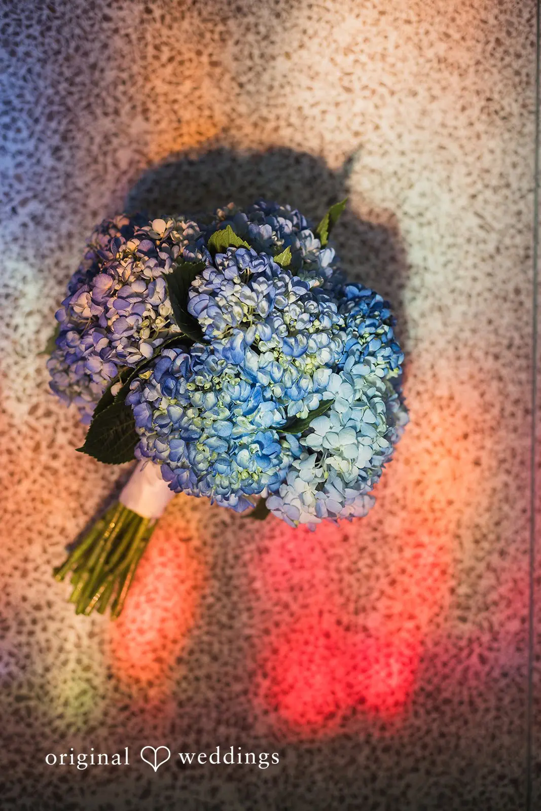 Madison + Jesse First Presbyterian Church of Santa Monica Wedding // Madison & Jesse -