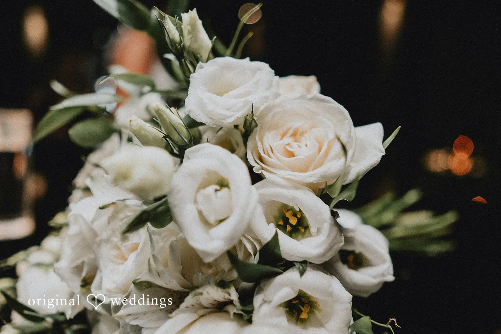 Paige + Travis Franchesco’s Wedding // Paige & Travis -