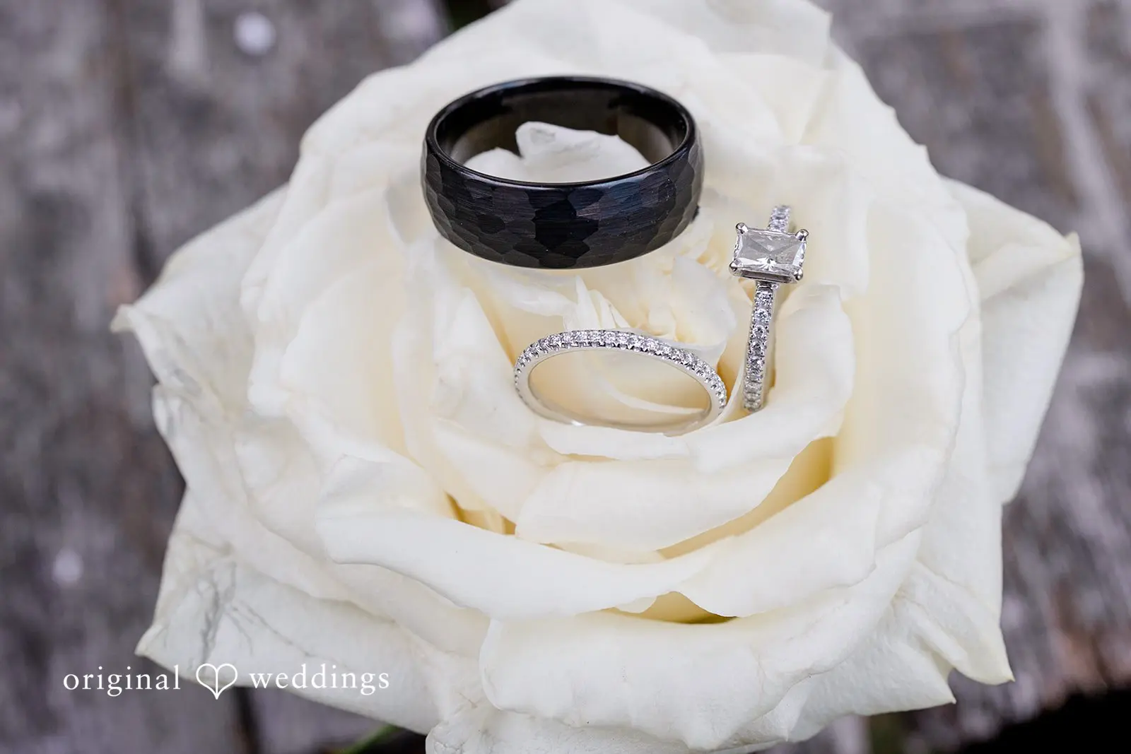 Fraser Farm Wedding // Sabrina & Brandon -