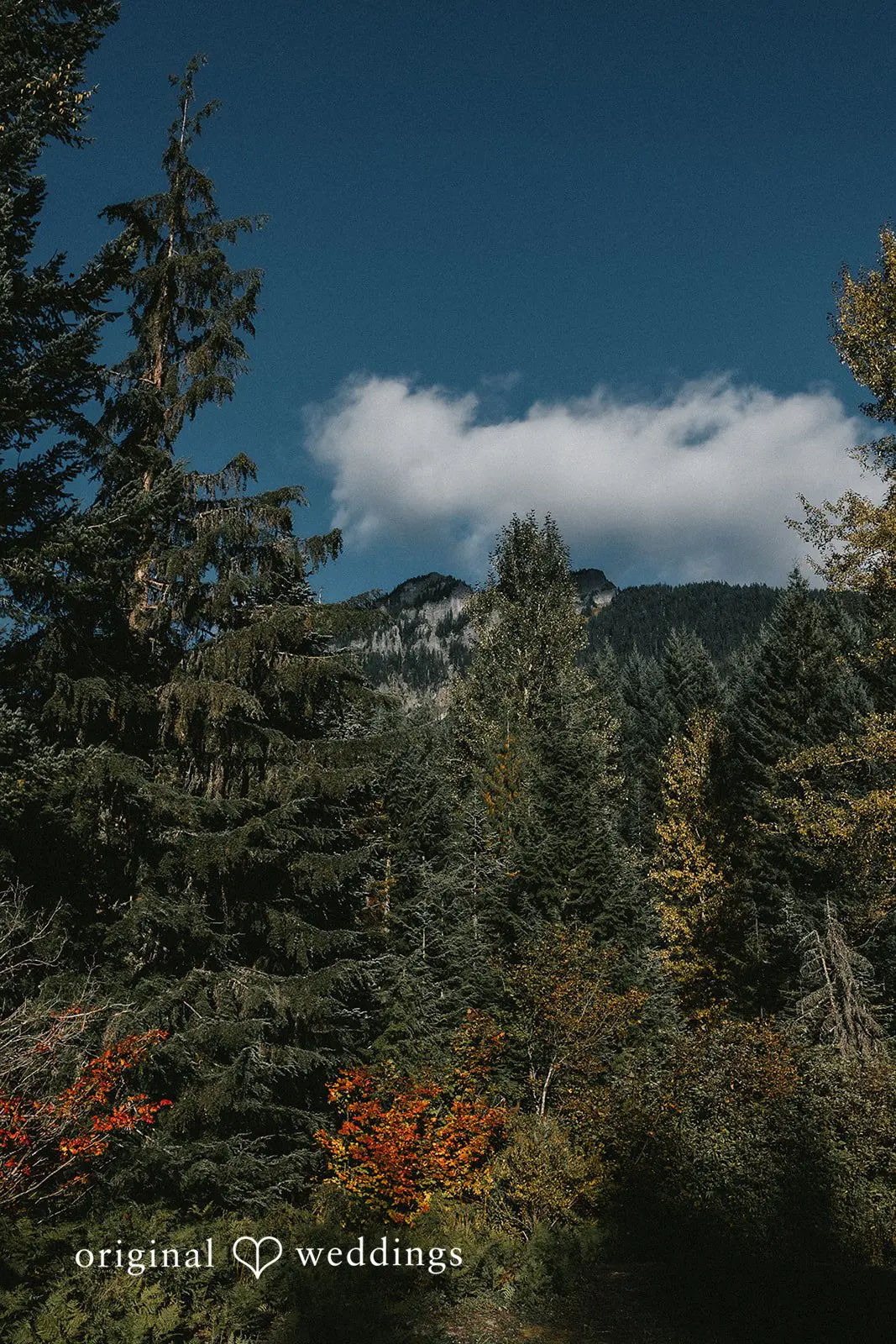 Quinten + Connor Gold Creek Pond Engagement // Quinten & Connor -