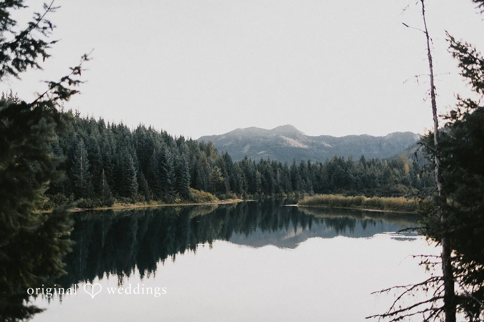 Quinten + Connor Gold Creek Pond Engagement // Quinten & Connor -
