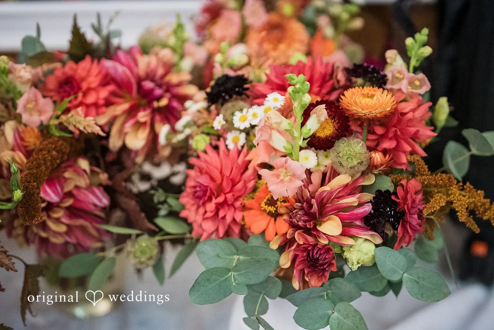 Elizabeth + Cooper Gold Mountain Golf Club Wedding // Elizabeth & Cooper -