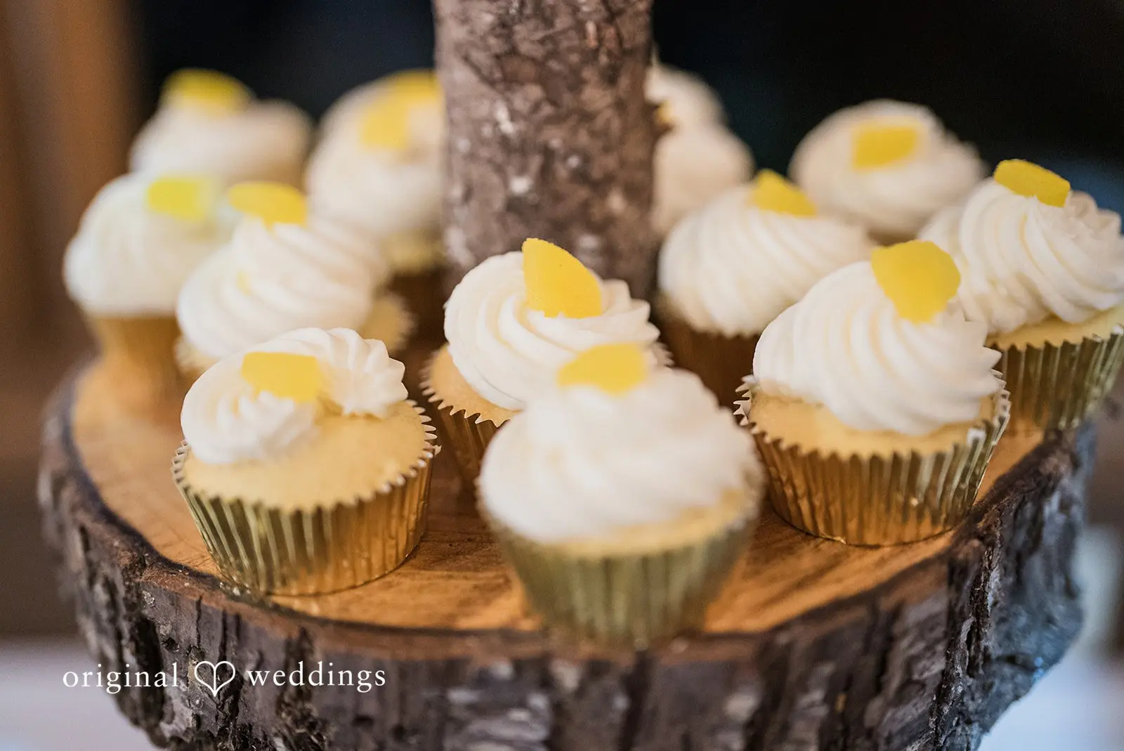 Elizabeth + Cooper Gold Mountain Golf Club Wedding // Elizabeth & Cooper -