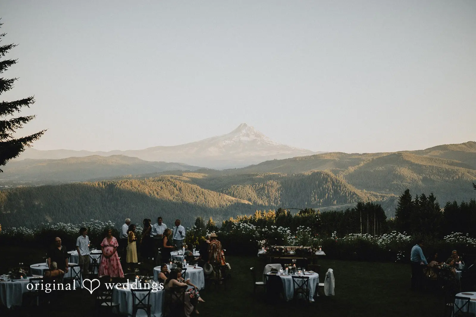 Daphne + Daniel Gorge Crest Vineyards Wedding // Daphne & Daniel -