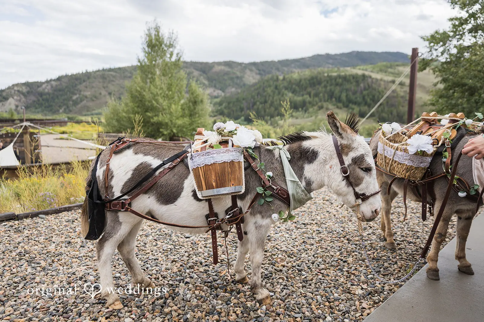 Megan + Jared Hidden Springs Ranch Wedding // Megan & Jared -