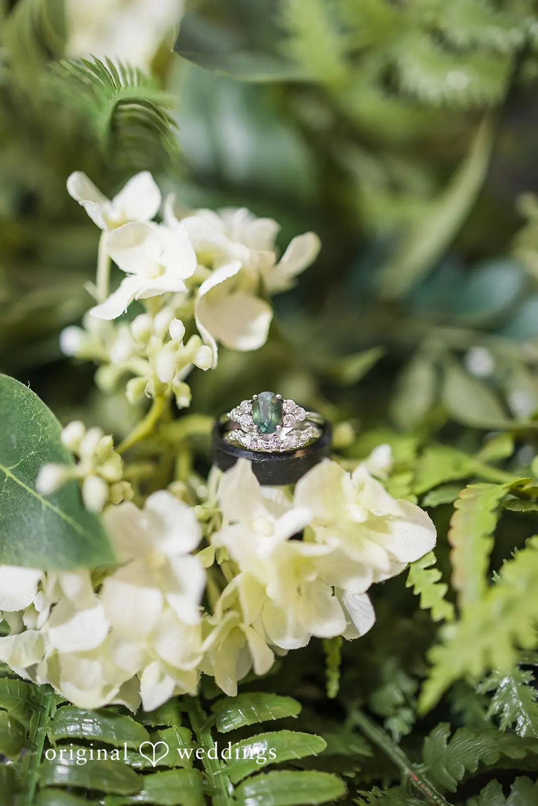 Lauren + Nickolas Hofbrauhaus Wedding // Lauren & Nickolas -