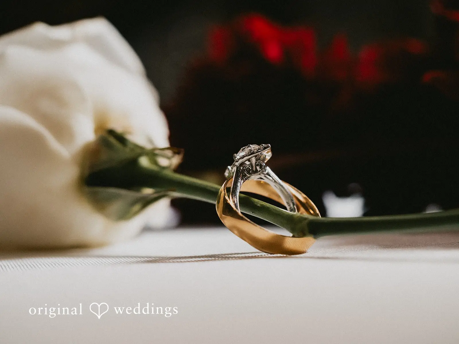 Regina + Spencer Holy Rosary Catholic Church Wedding // Regina & Spencer -