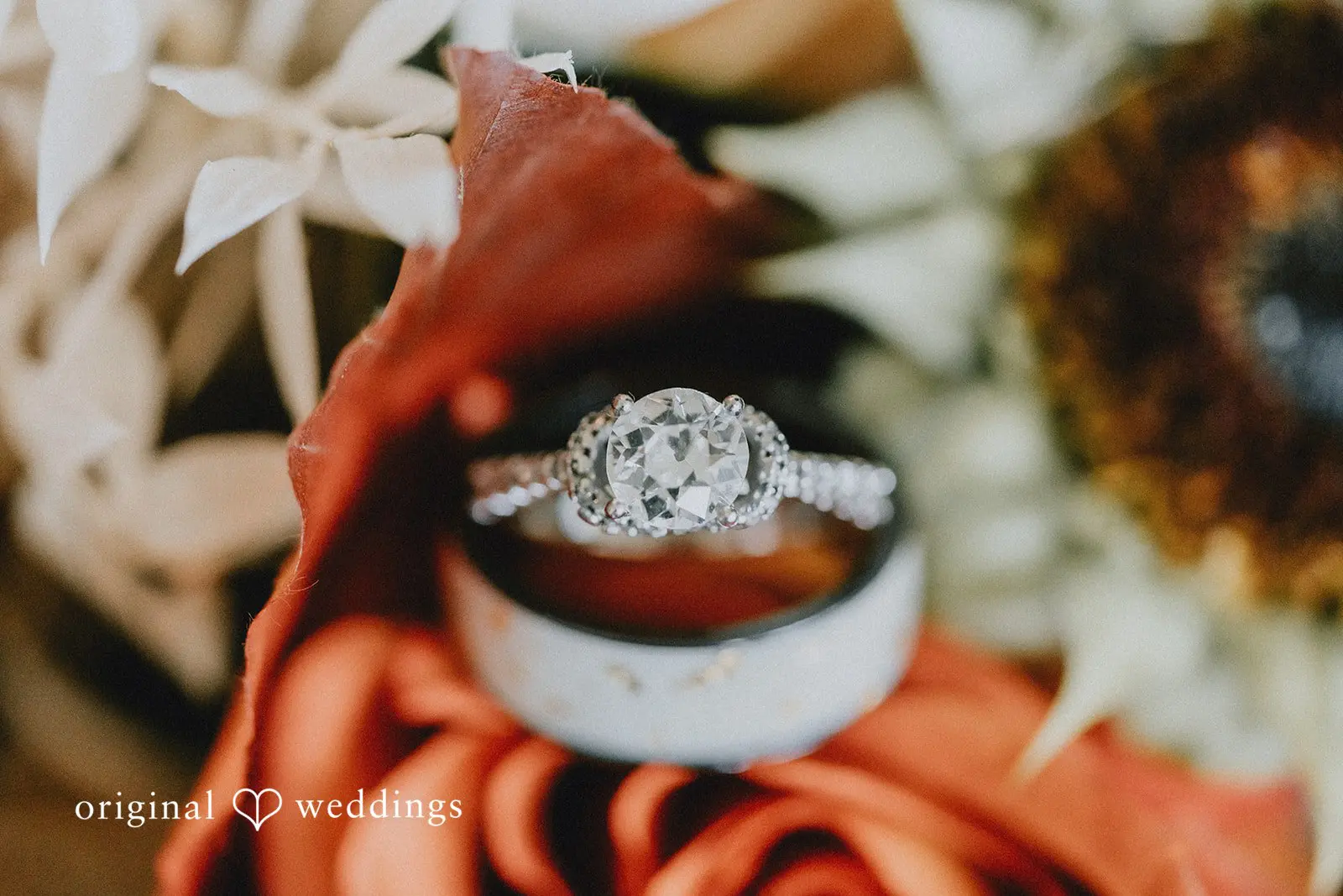 Elizabeth + Brendan Hyatt Regency Sarasota Wedding // Elizabeth & Brendan -
