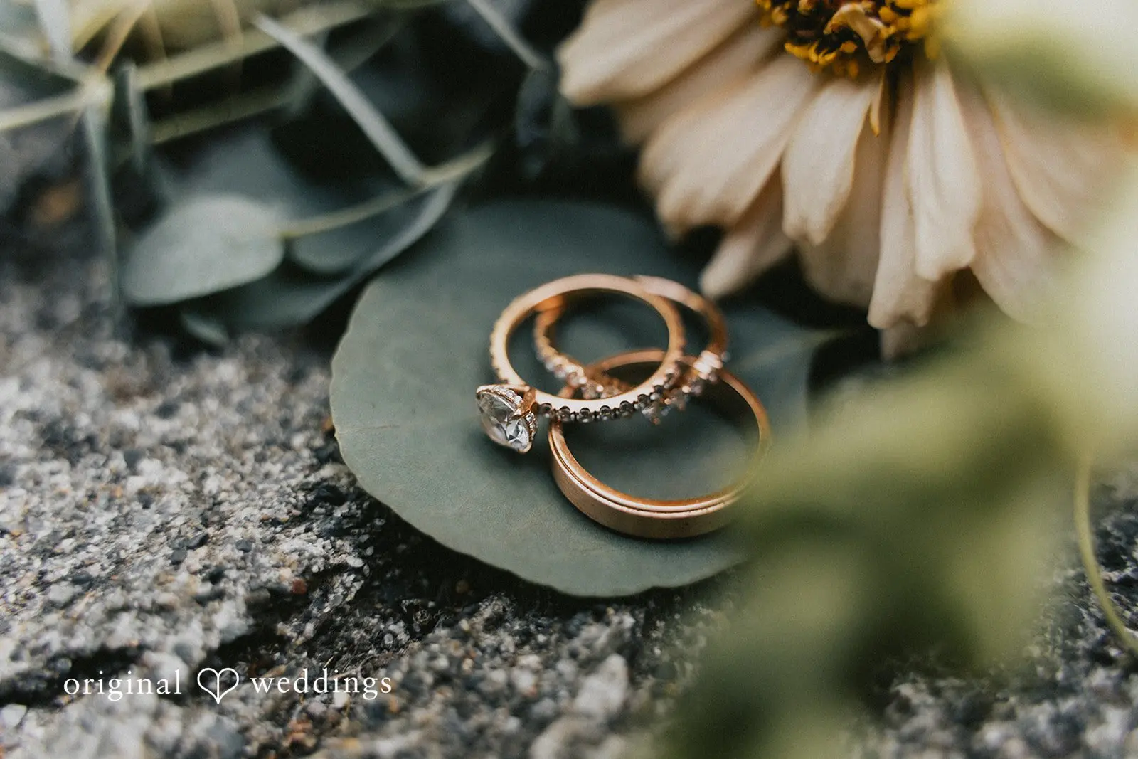 Cheyenne & Nicholas -