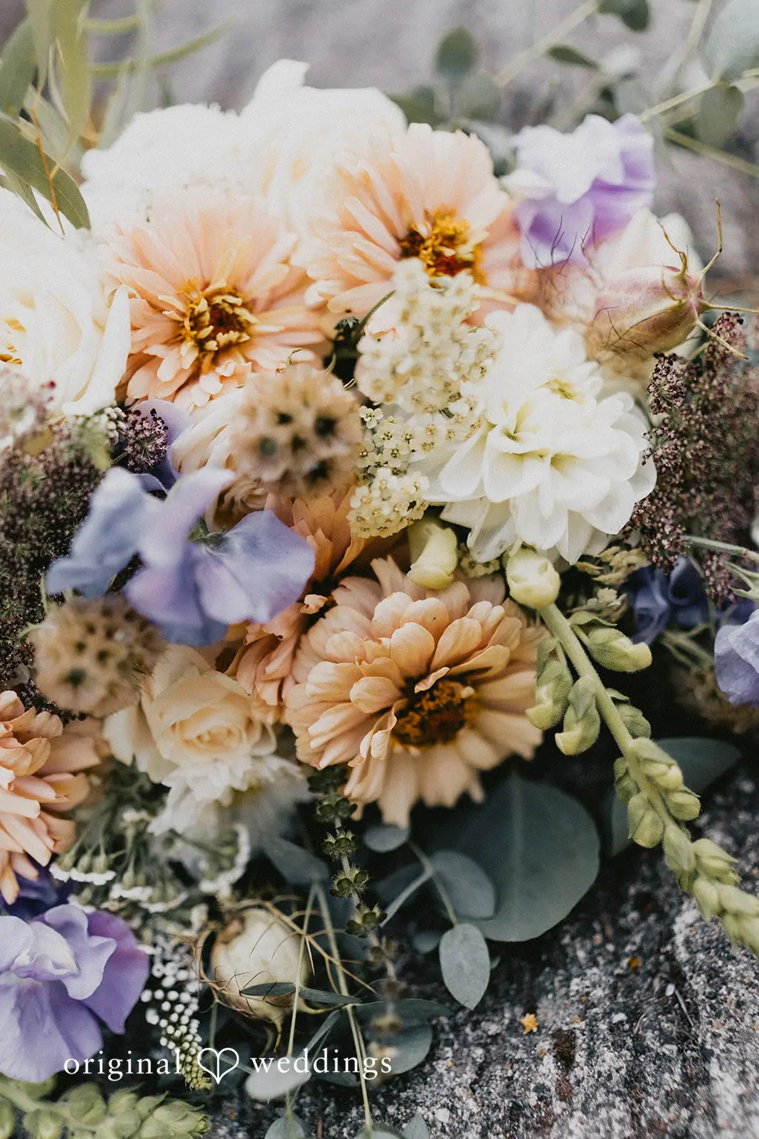 IslandWood Wedding // Cheyenne & Nicholas -