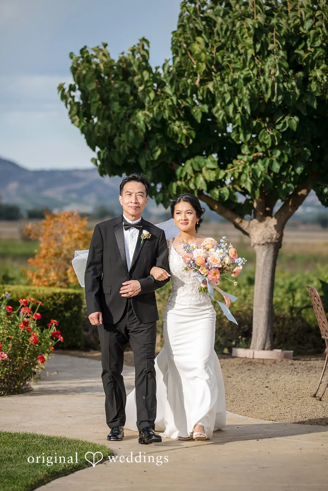 Jacuzzi Family Vineyards Wedding // Joshua & Regina -