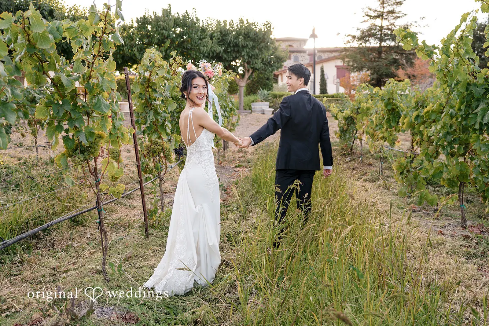 Jacuzzi Family Vineyards Wedding // Joshua & Regina -