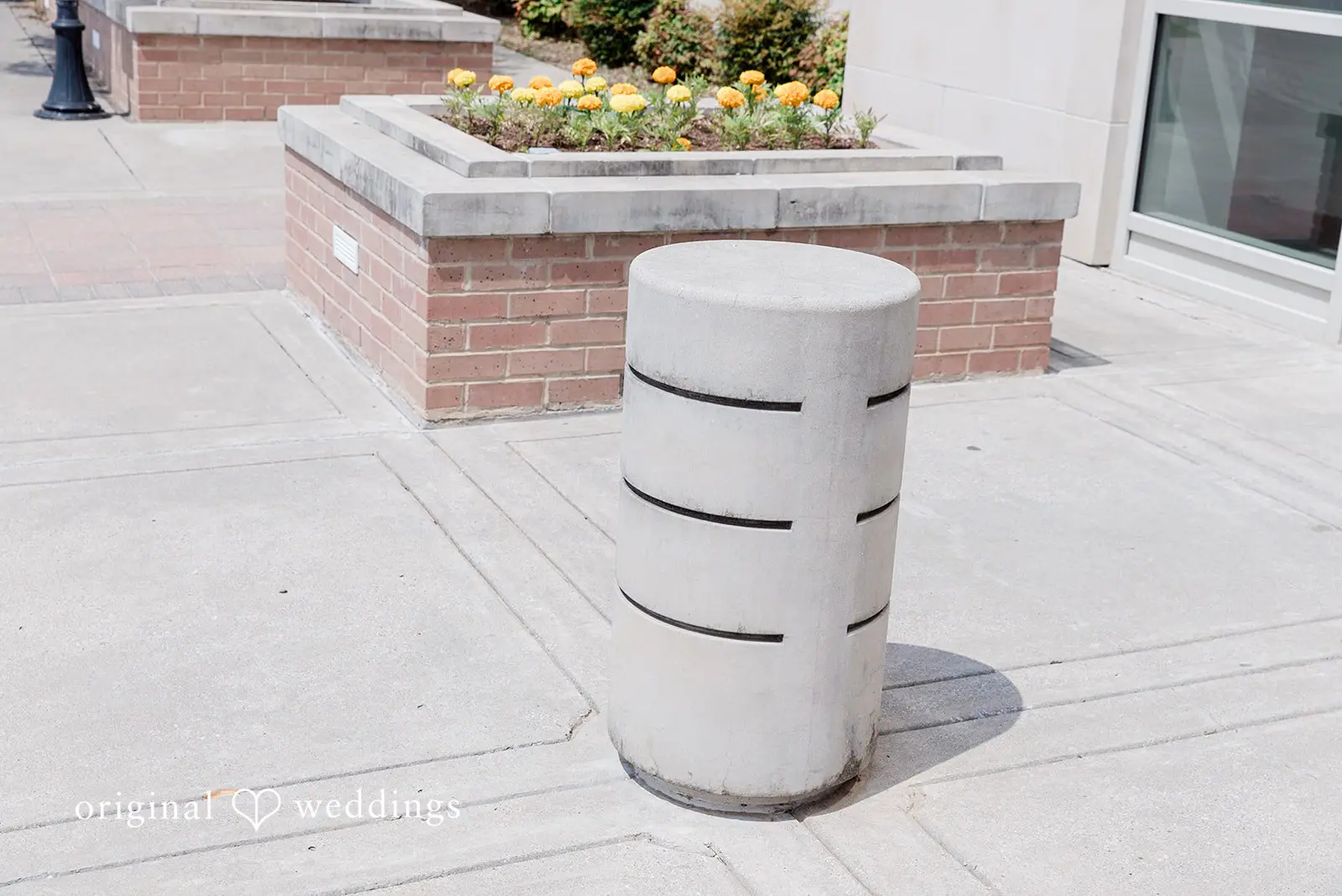 Robert + Andrea Justice of the Peace McKinney Wedding // Robert & Andrea -