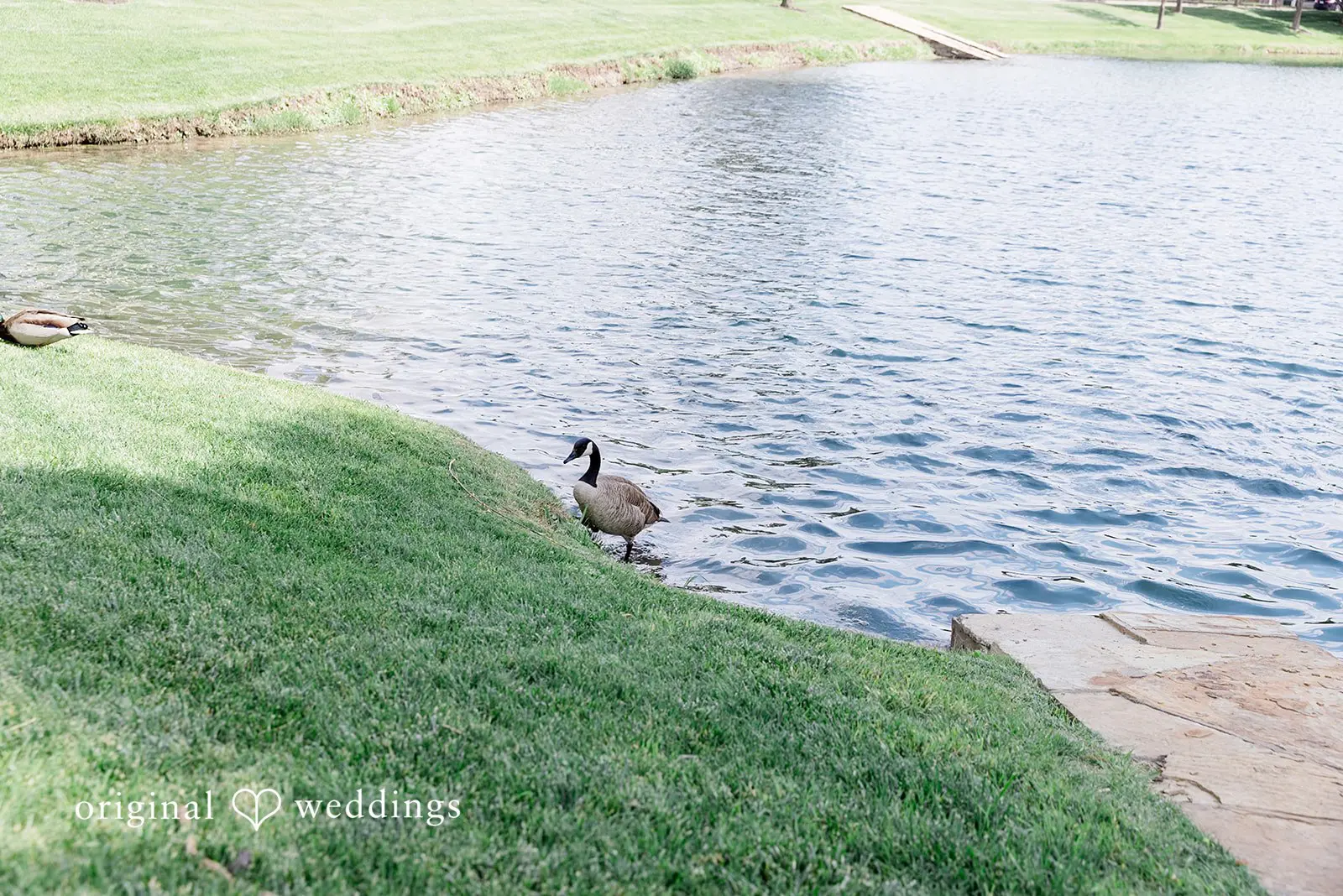 Robert + Andrea Justice of the Peace McKinney Wedding // Robert & Andrea -