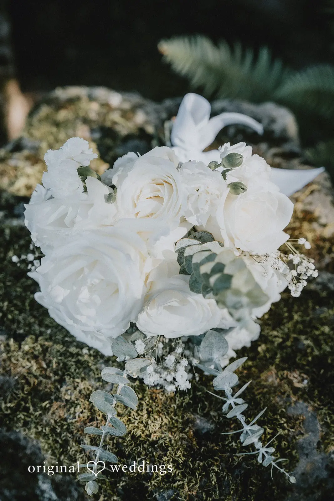 Phillip + Rachelle Lakeside Gardens Wedding // Rachelle & Phillip -