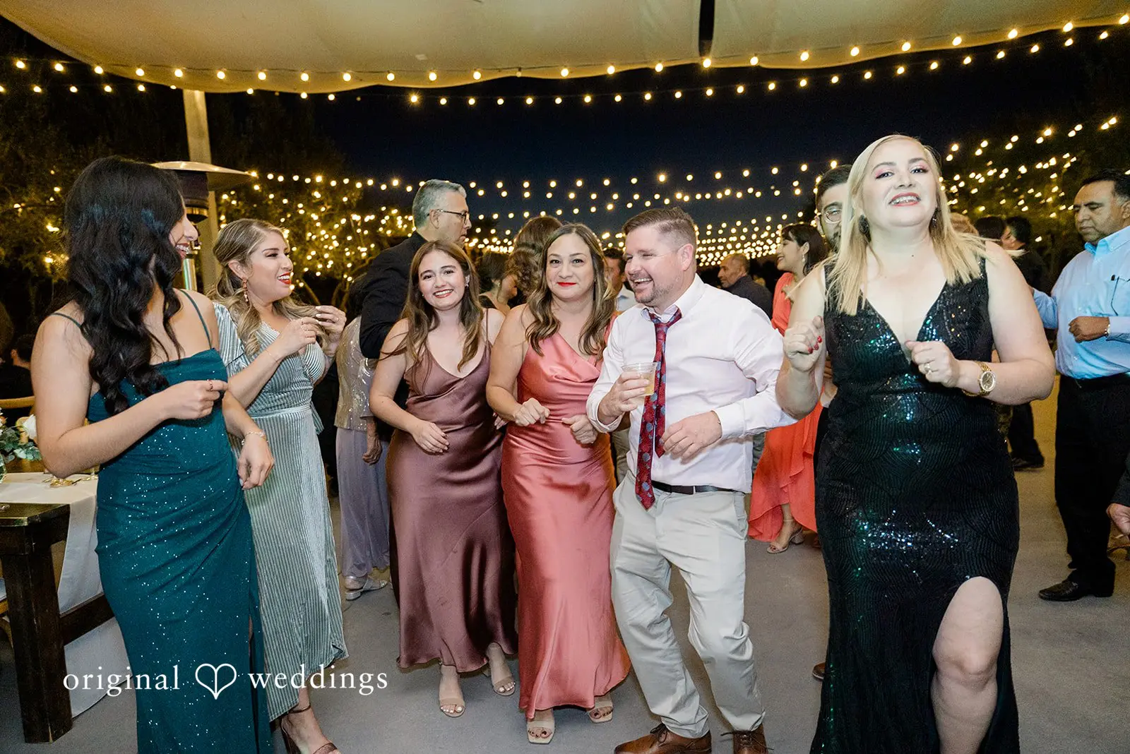 Luis + Monica Leal Vineyards Wedding // Luis & Monica -