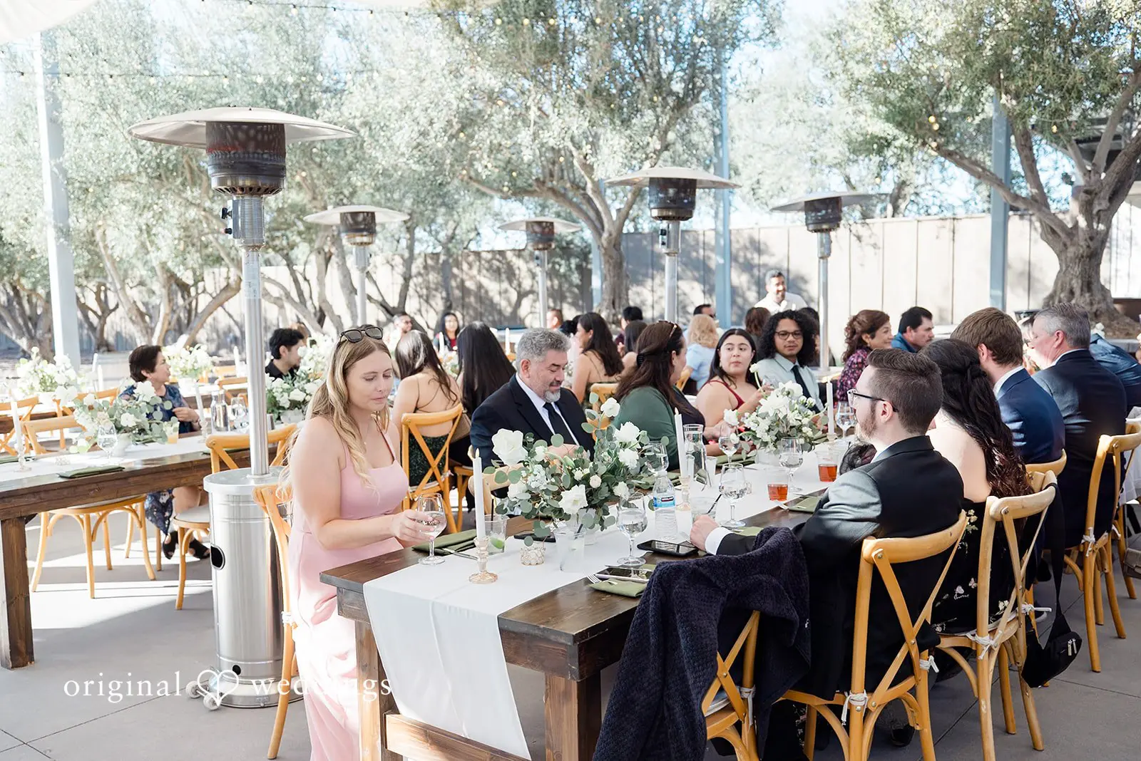 Luis + Monica Leal Vineyards Wedding // Luis & Monica -