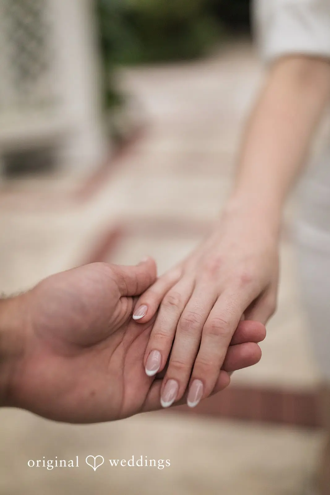 Elizabeth + Mark Leu Gardens Engagement // Elizabeth & Mark -