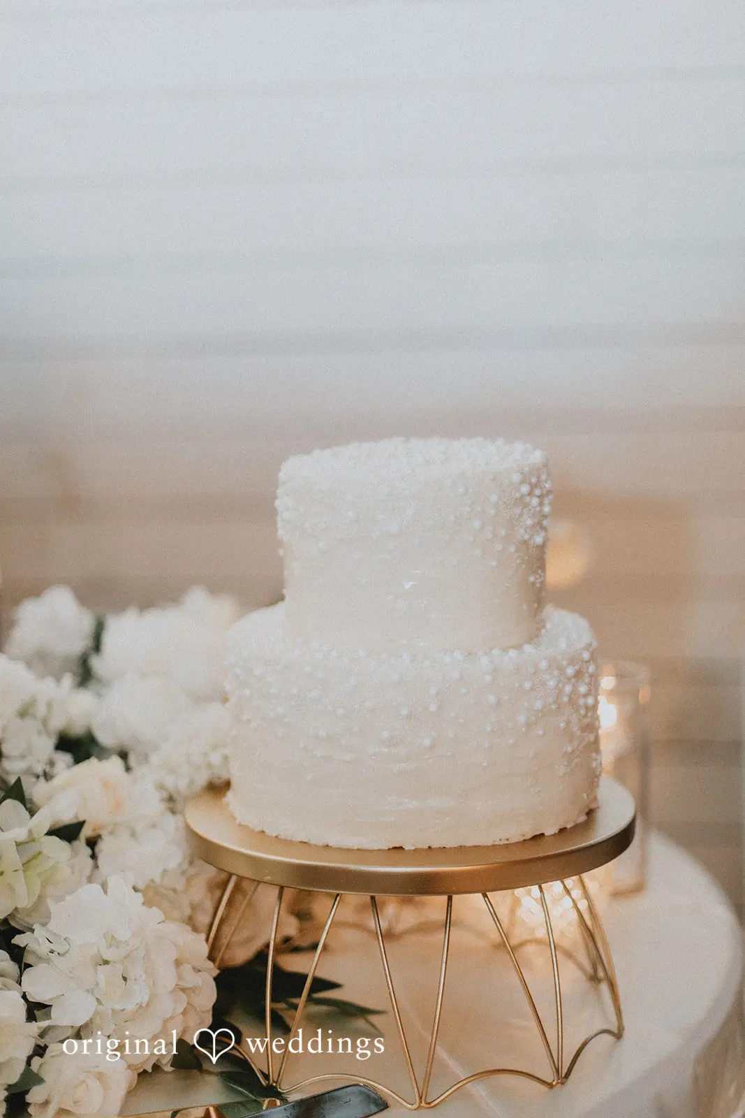 Melanie + Devaughn Licciardello Farms LLC Wedding // Melanie & Devaughn -