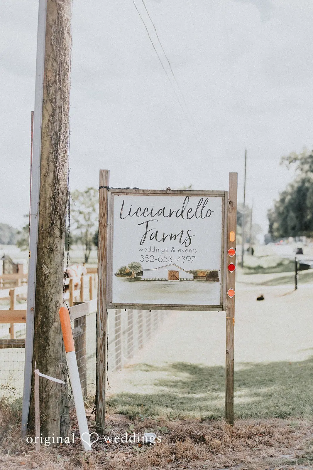 Melanie + Devaughn Licciardello Farms LLC Wedding // Melanie & Devaughn -