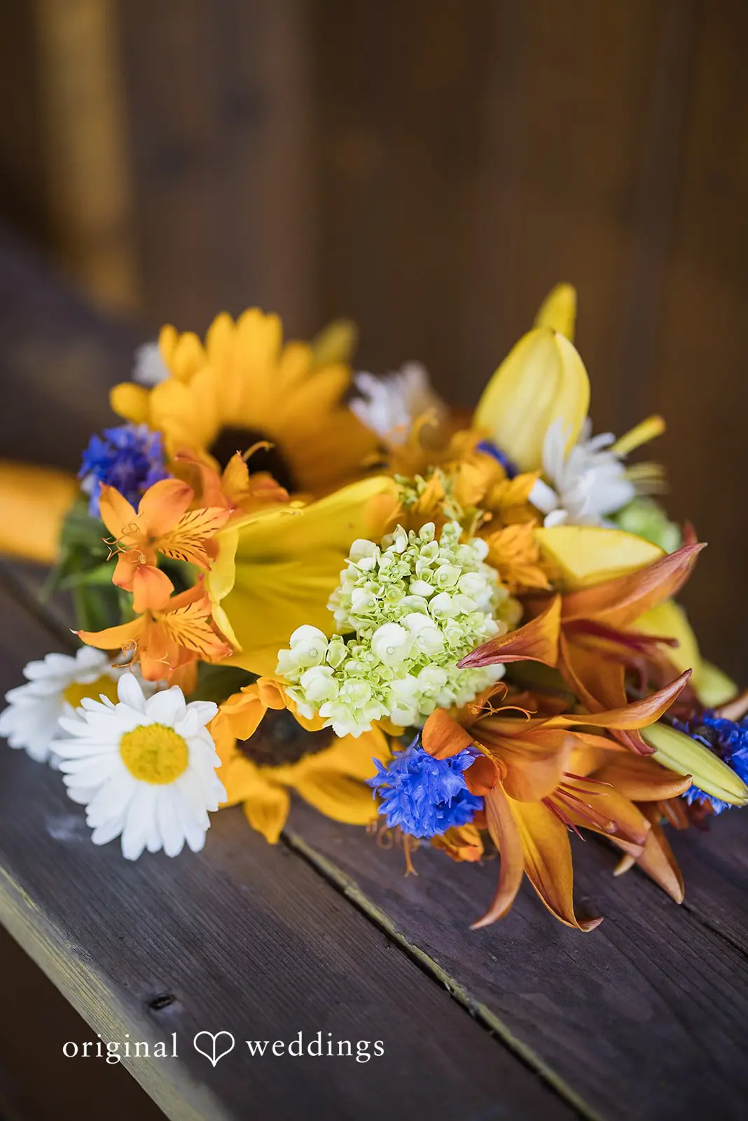 Katie + Mark Lummi Island Wedding // Katie & Mark -