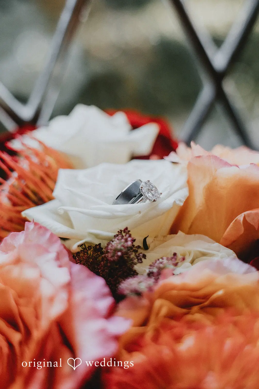 Maketewah Country Club Wedding // Madeline & Clay -