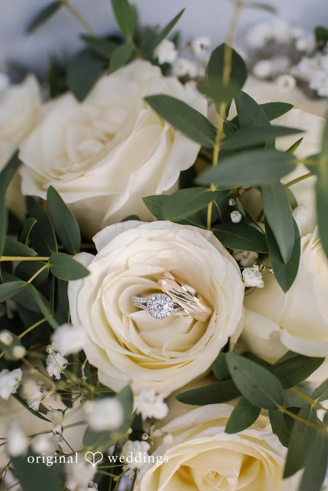 Alexandria + James Meadowbrook Farm Wedding // Alexandria & James -