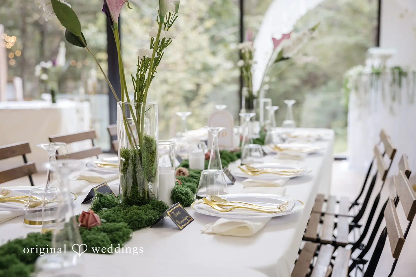 Merrick Hollow Wedding // Aylen & Liam -