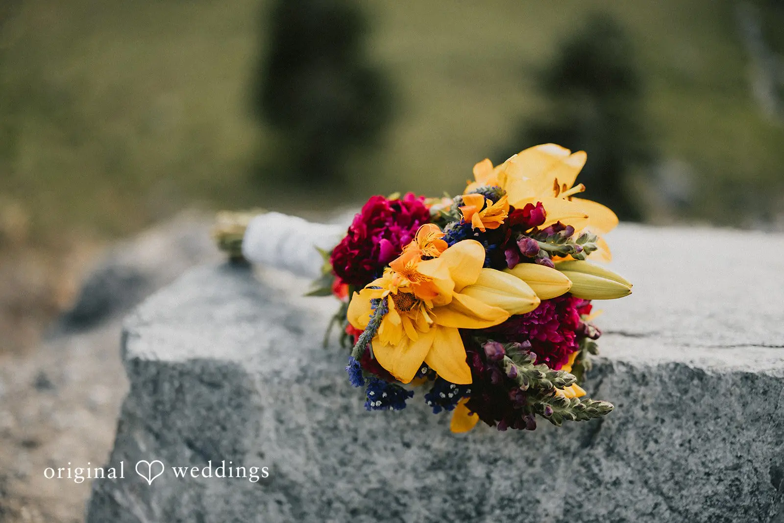 Vanessa + Jason Mount Rainier National Park Wedding // Vanessa & Jason -