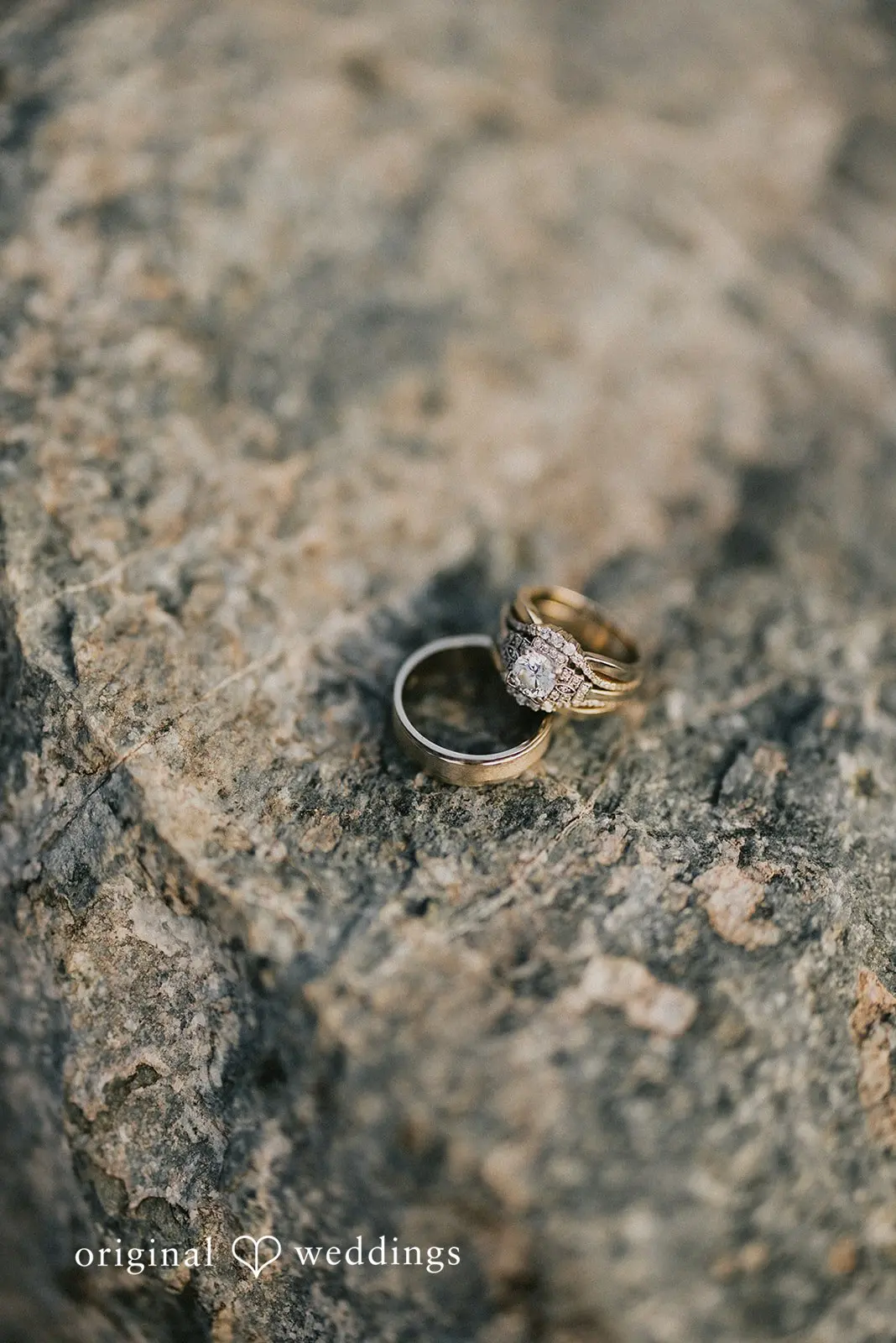 Vanessa + Jason Mount Rainier National Park Wedding // Vanessa & Jason -