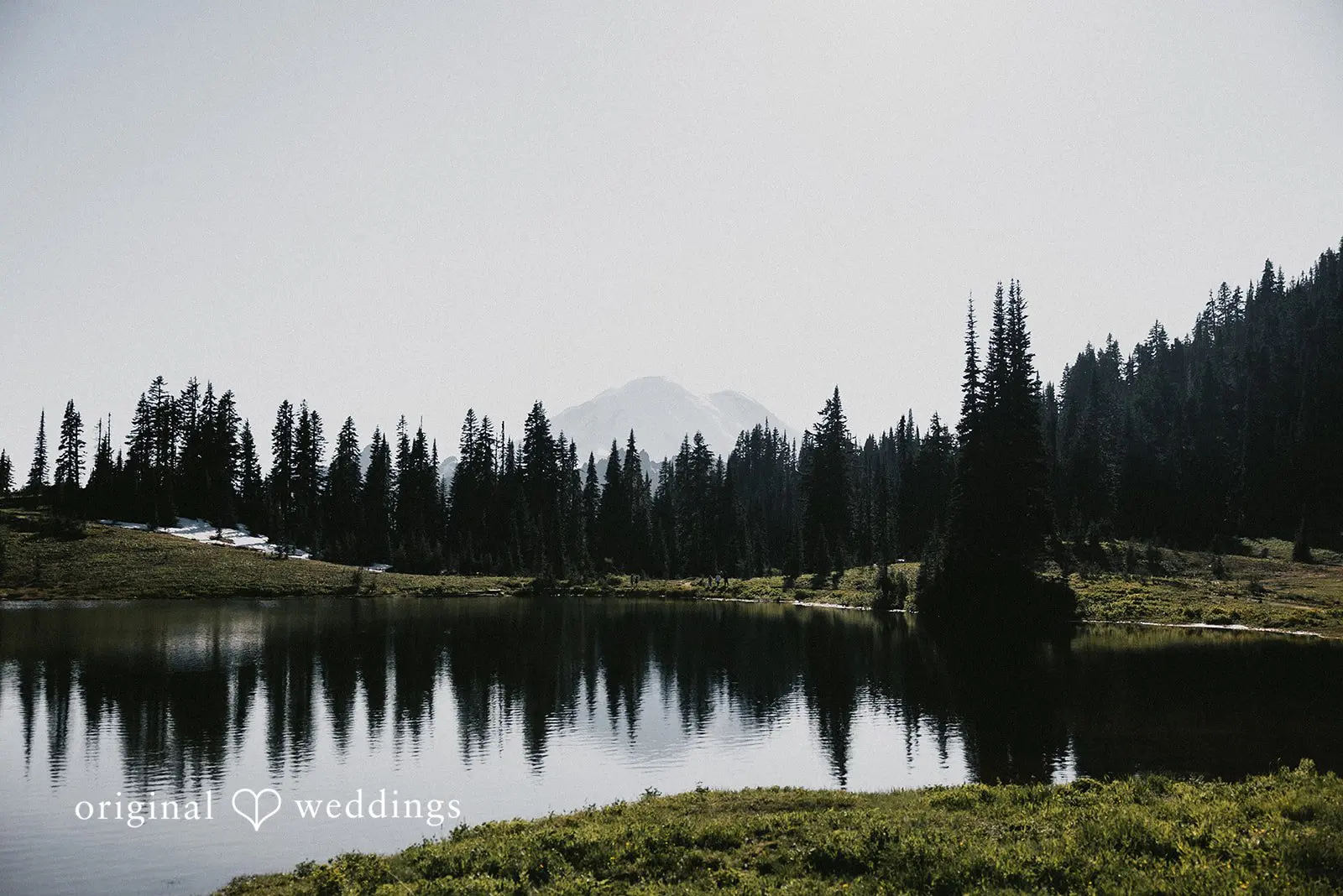 Vanessa + Jason Mount Rainier National Park Wedding // Vanessa & Jason -