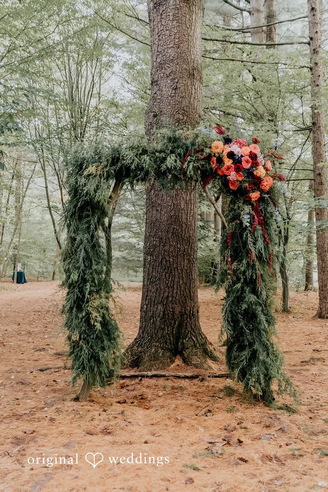 Sydney + Michael Mountain Memories at Thorpewood Wedding // Sydney & Michael -