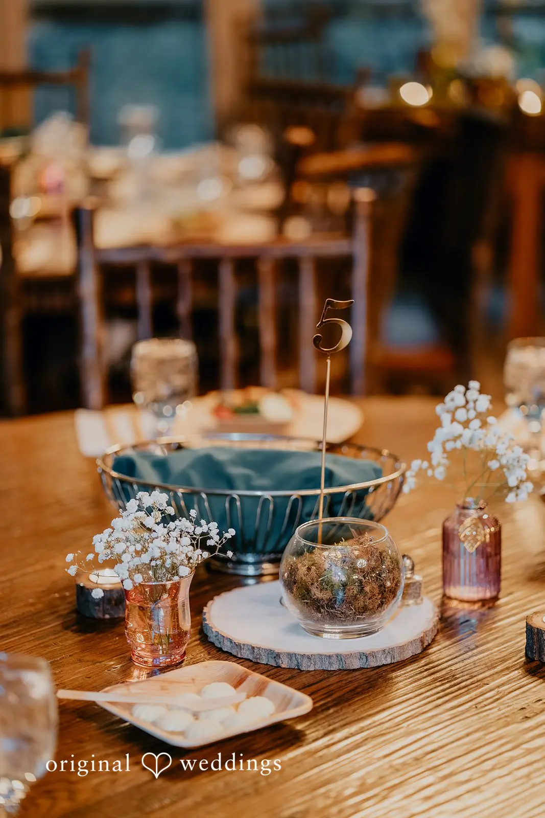 Sydney + Michael Mountain Memories at Thorpewood Wedding // Sydney & Michael -