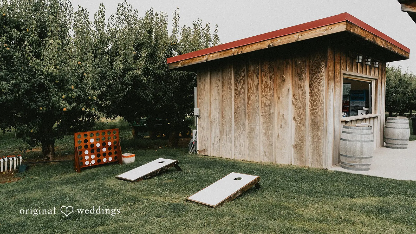 Branden + Sabrina Mt. View Orchards Wedding // Sabrina & Branden -