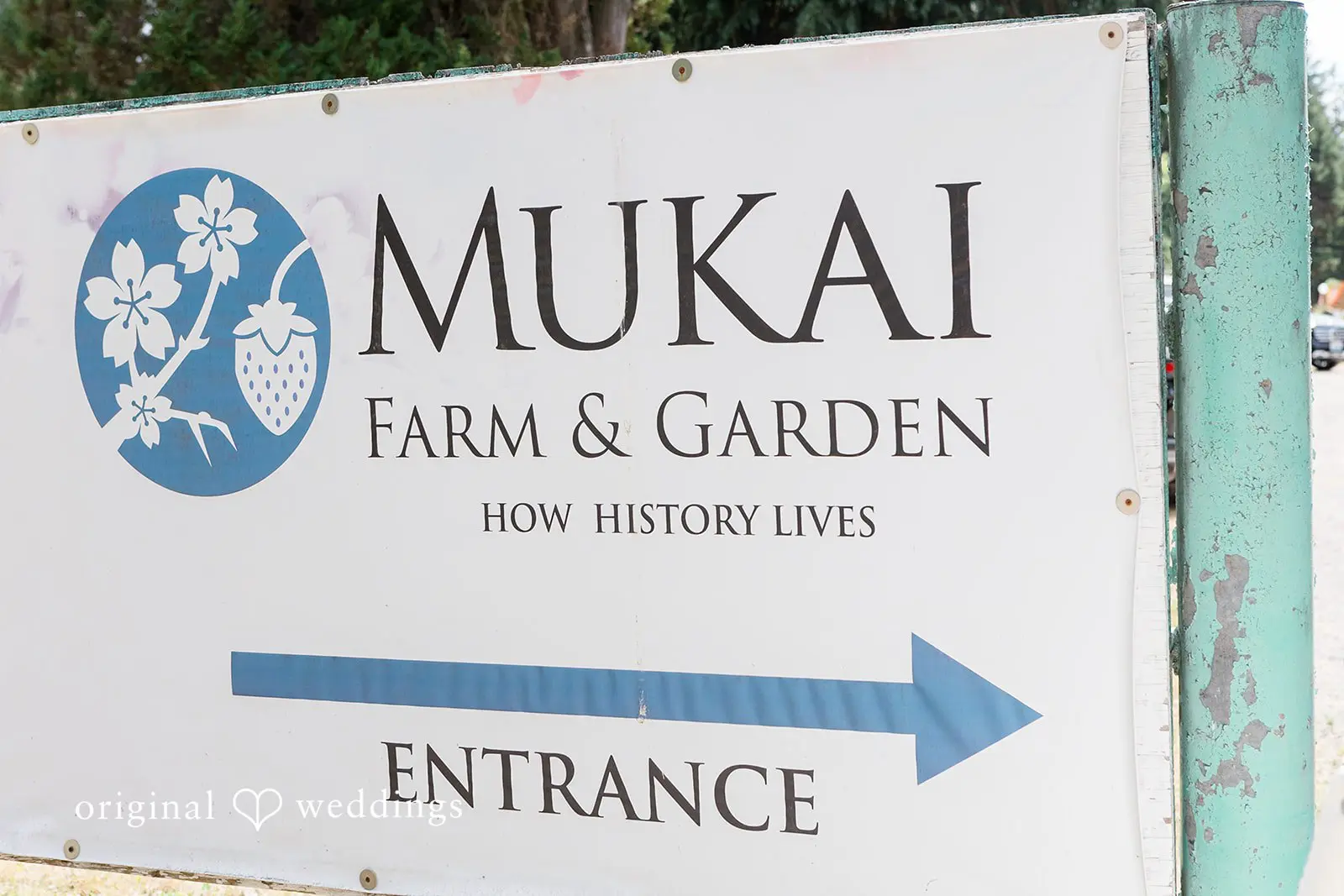 Olin + Isabelle Mukai Garden Wedding // Olin & Isabelle -