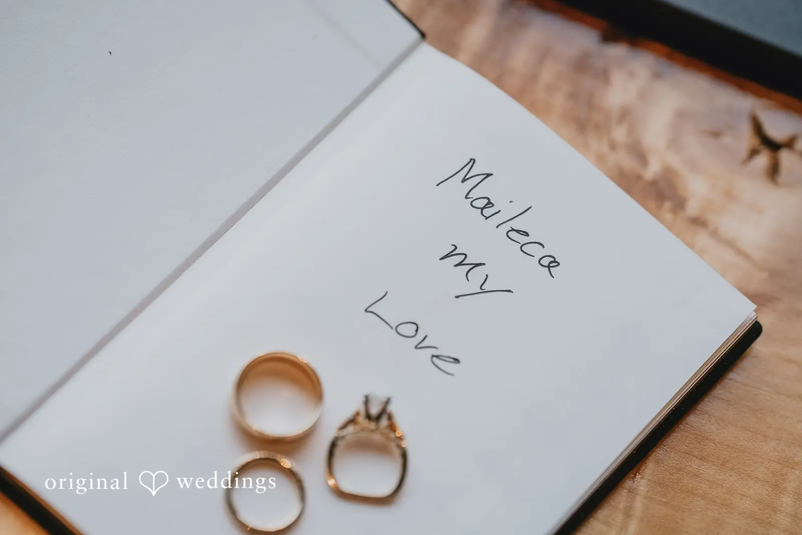 Steven + Maileca North Fork Farm Wedding // Steven & Maileca -