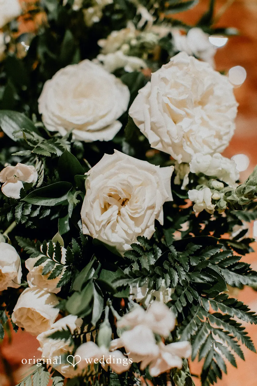 Tabetha + Joseph NOVA 535 Wedding // Tabetha & Joseph -