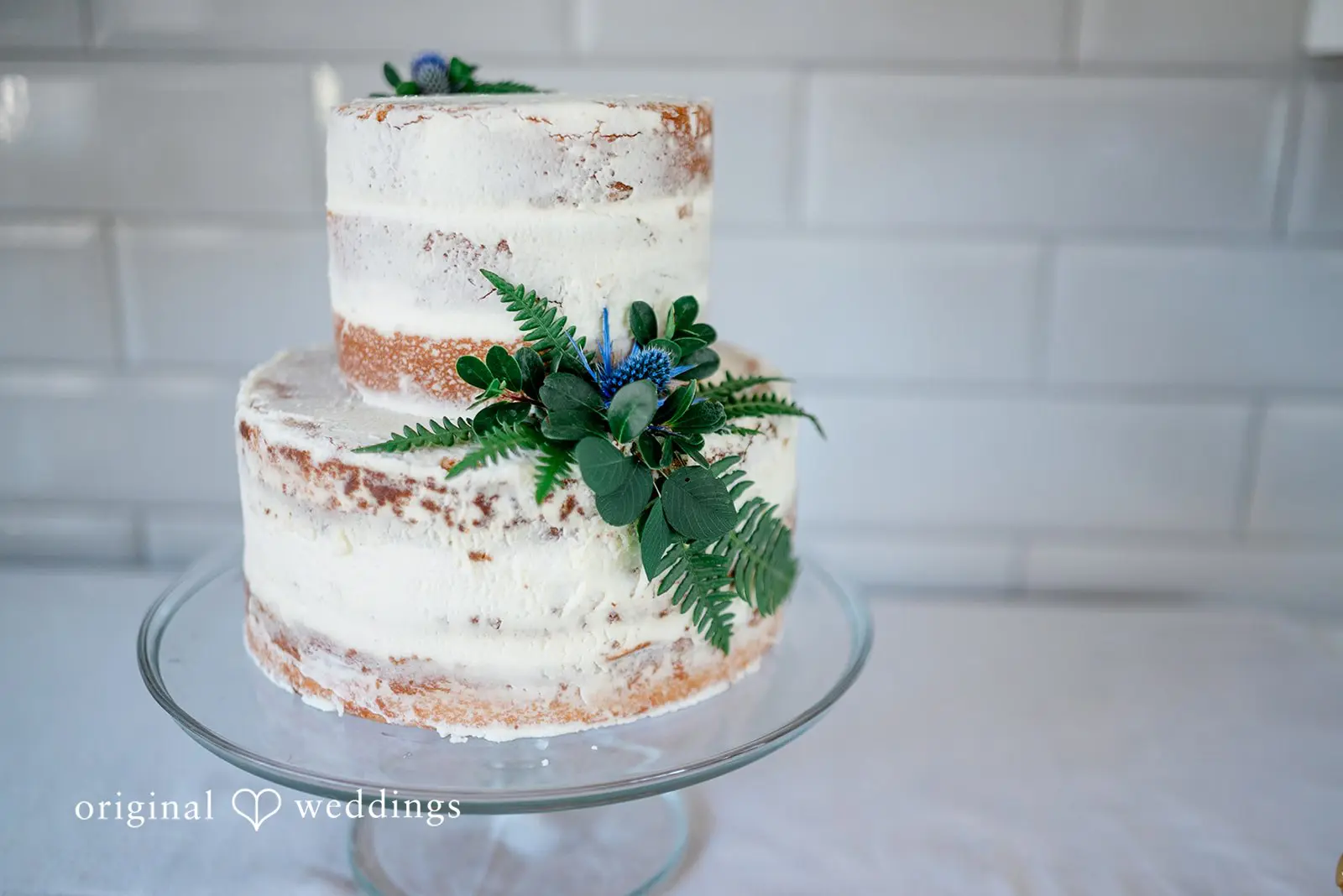 Oak Harbor Wedding // Haley & Eric -