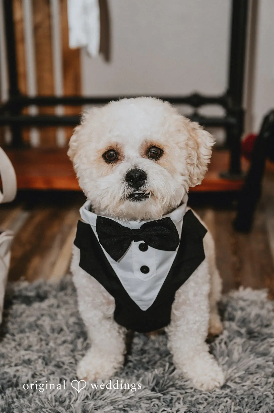 Once Upon A Time Events Wedding // Joanna & Sharmane -