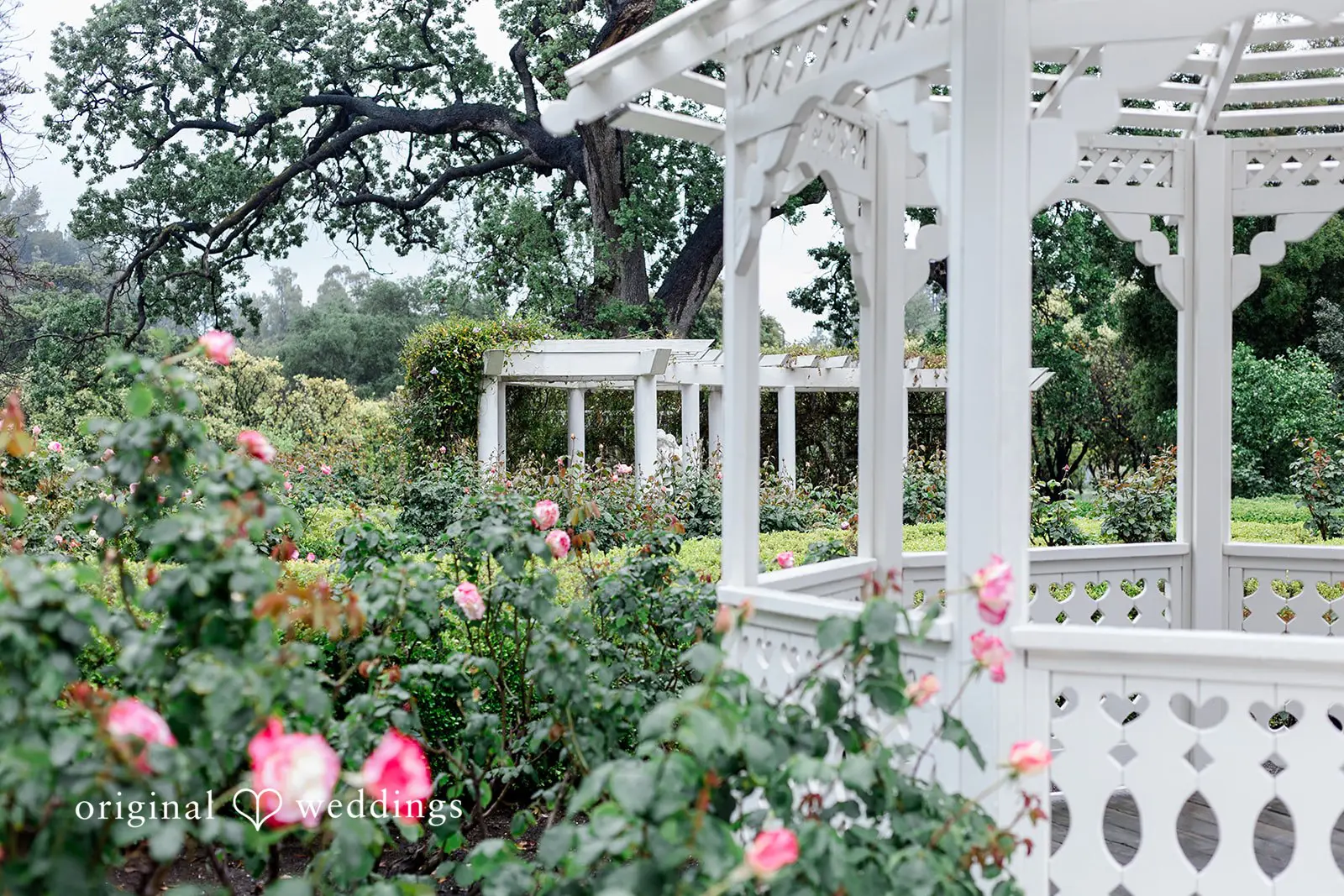 Eric + Savannah Orcutt Ranch Wedding // Eric & Savannah -
