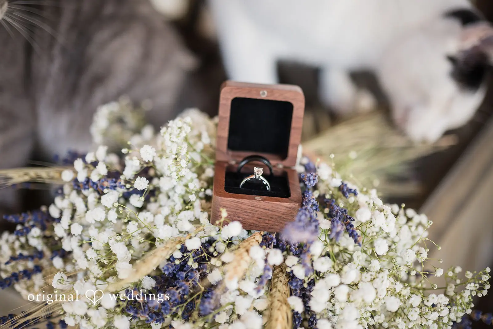 Oregon Backyard Wedding // Josie & Braden -