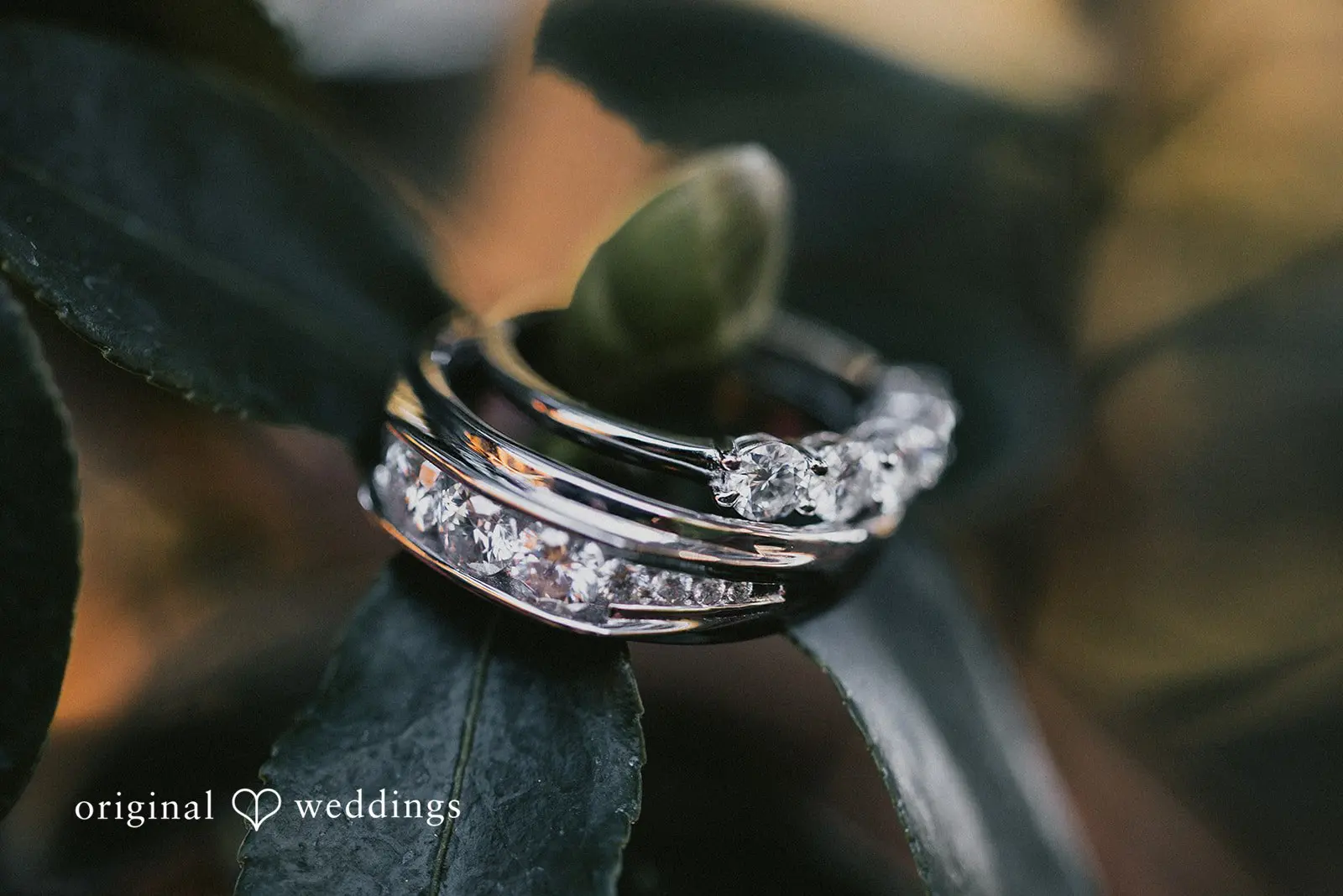 Valentino + Amy Perera Pavilion Wedding // Valentino & Amy -