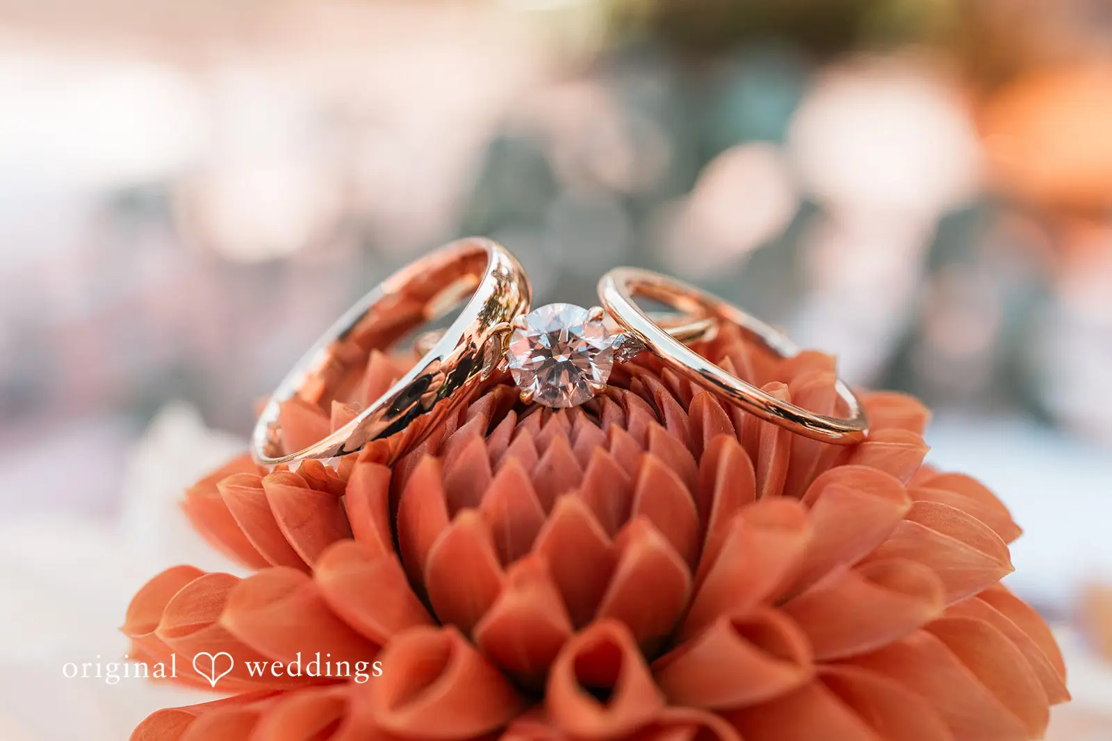 Chelsea + Kizz Pickering Barn Wedding // Chelsea & Kizz -