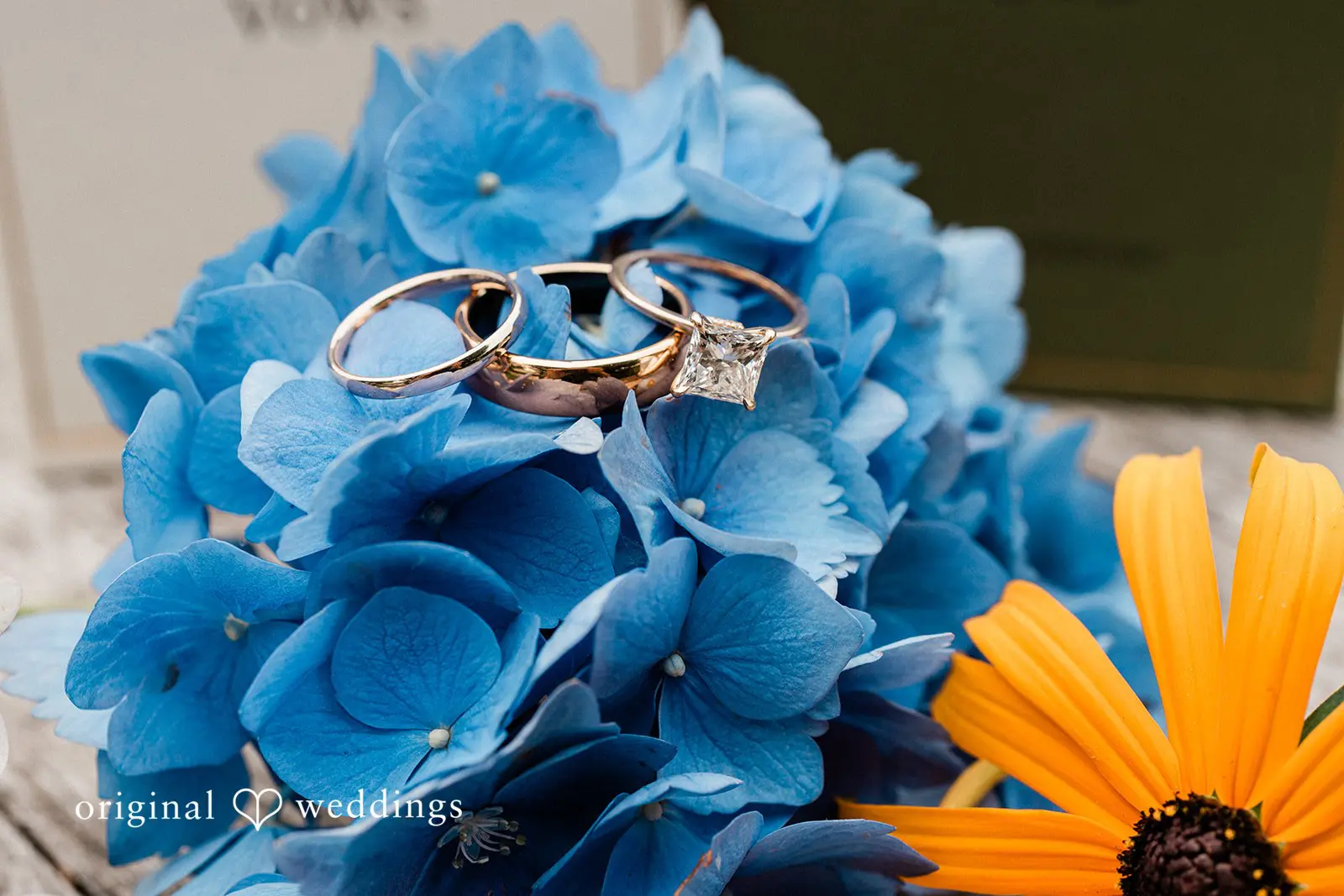 Lauren + Hayden Pine Creek Nursery Wedding // Lauren & Hayden -