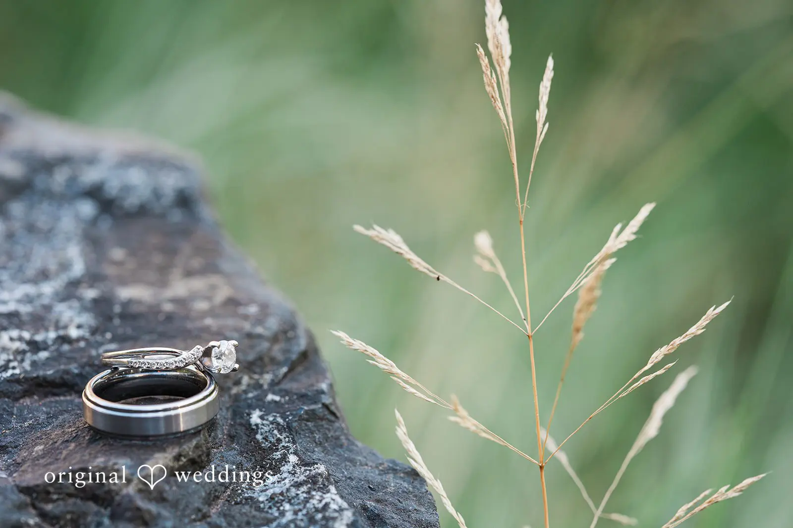 Mirella + Tobias Point Defiance Pagoda Wedding // Mirella & Tobias -