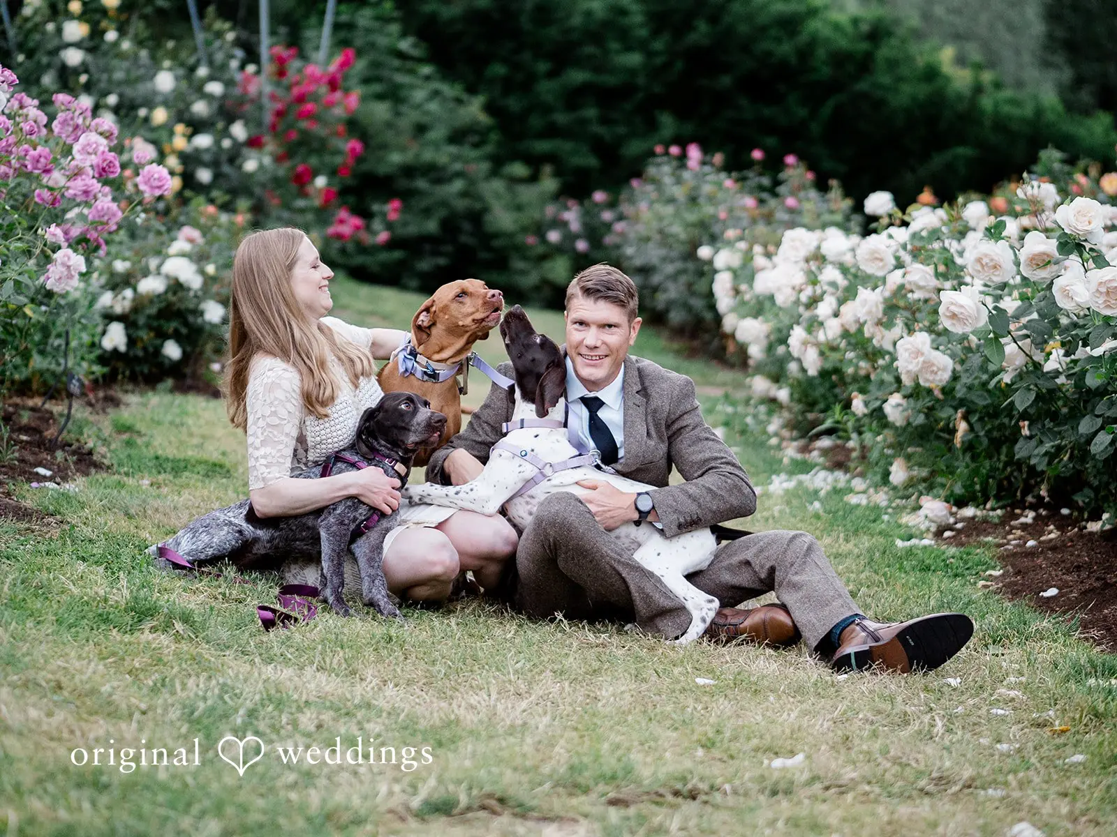 Portland International Rose Garden Engagement // Elizabeth & Daniel -