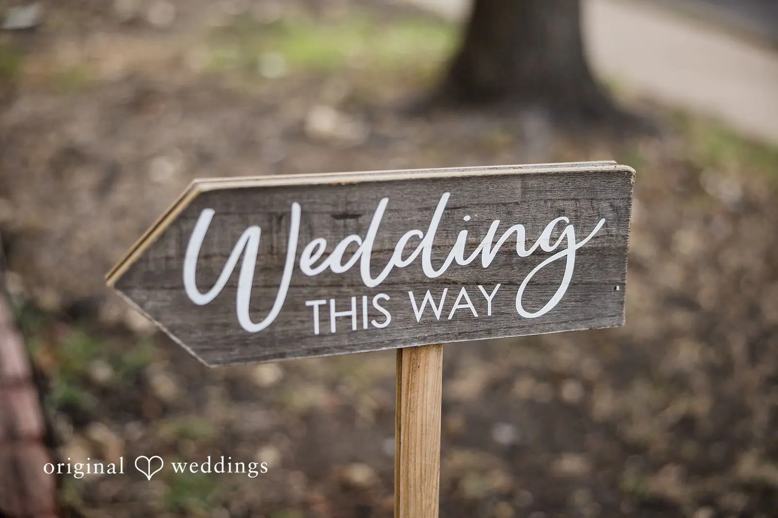 Texas Home Wedding // Janet & Gary -