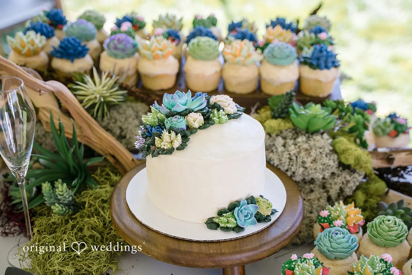 Brent + Lennon Quivett Compound Wedding // Brent & Lennon -