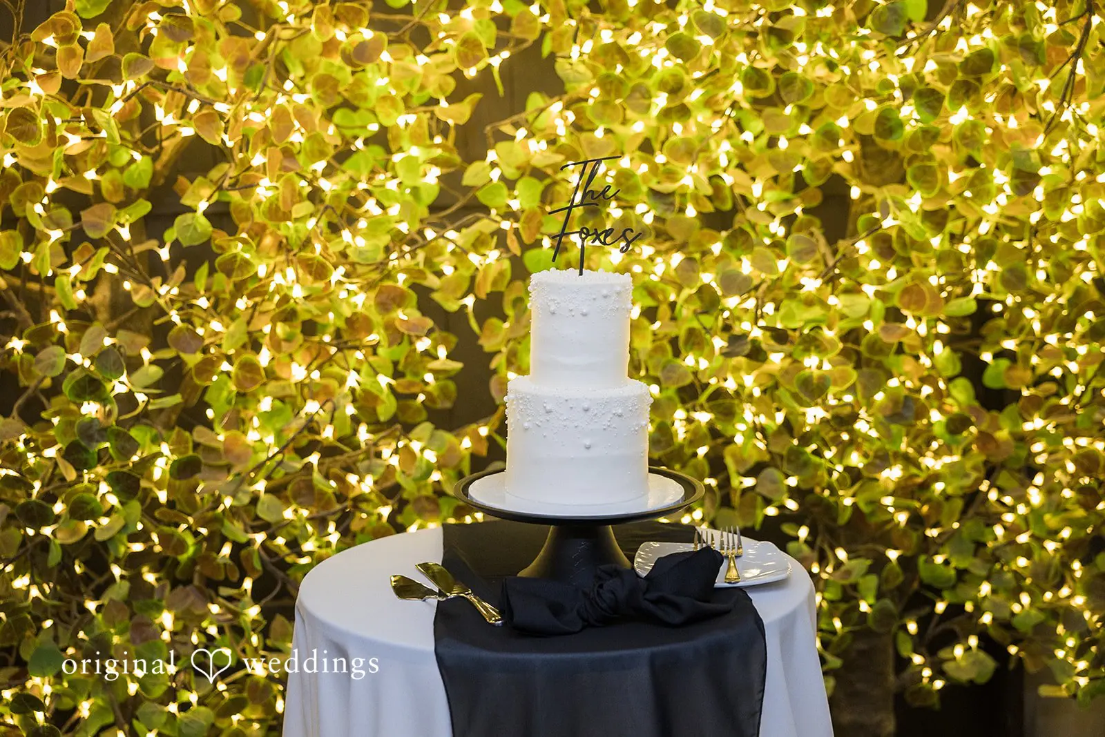 Rachael + Trevor Twin Oaks House Wedding // Rachael & Trevor -